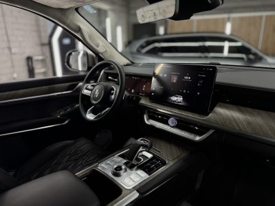 TANK 500, 2023 г., 71004 км - изображение 19